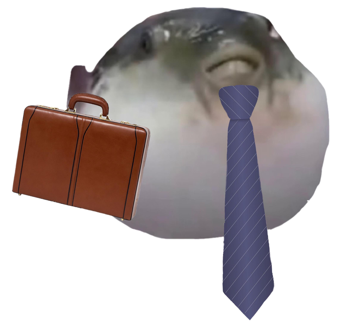 Phishe deadpan, briefcase in one hand, tie over the shoulder